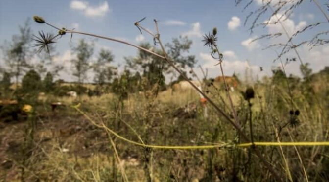 Rest of land to be seized as nation starves A grim reality unfolds.