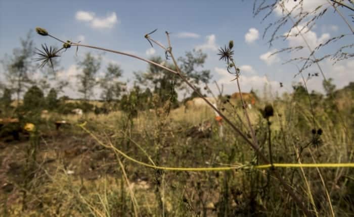 Rest of land to be seized as nation starves