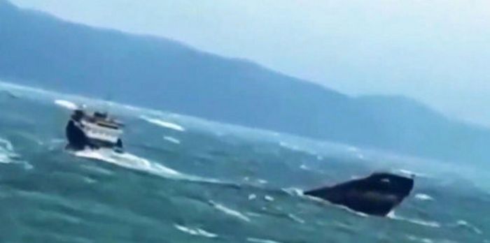 Turkey Urges Russia To Avoid Escalation After Drone Strikes Damage ...