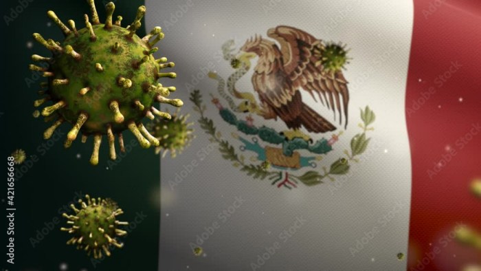 Virus hits more countries as health official warns world 'not ready ...