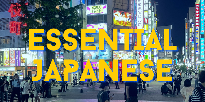 Japanese Learning Hub » Fluent in 3 Months