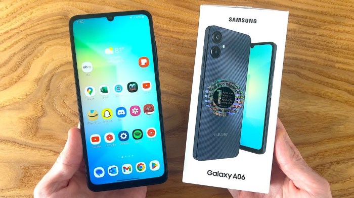 How much does a Samsung Galaxy A06 64 GB phone cost in November 2025?