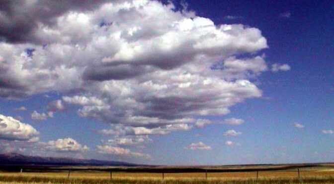 Banal Foods & Young Health A 10% Increase Brings Risks