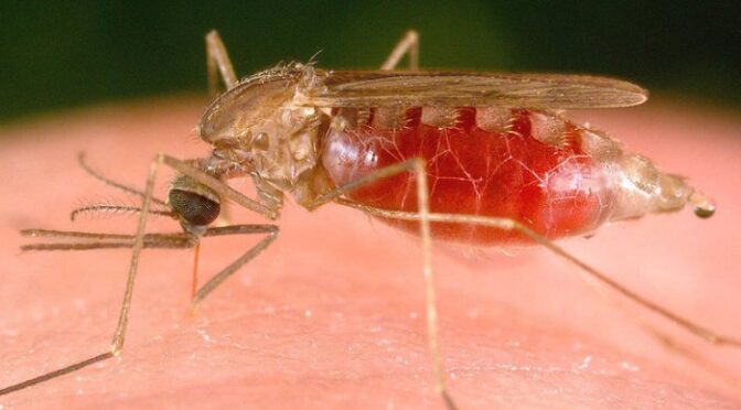 Malaria Outbreak Prediction At The Sub-District Level In Zambia Using Remote Sensing Satellite Data