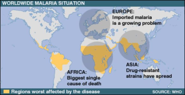 Malaria officially eliminated in China, WHO declares | CNN