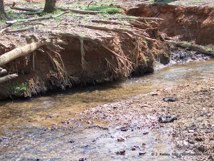 Streambank Erosion | Streambank erosion can be a major contr… | Flickr