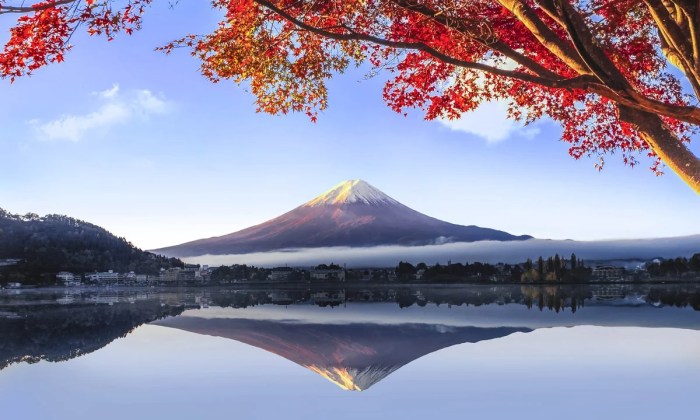 All Corn Sick Hoods