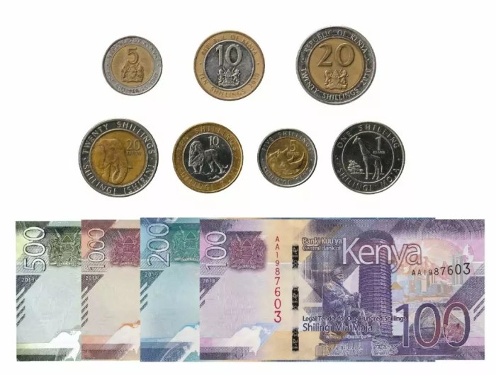 Leftover Currency - Kenyan Shillings currency overview