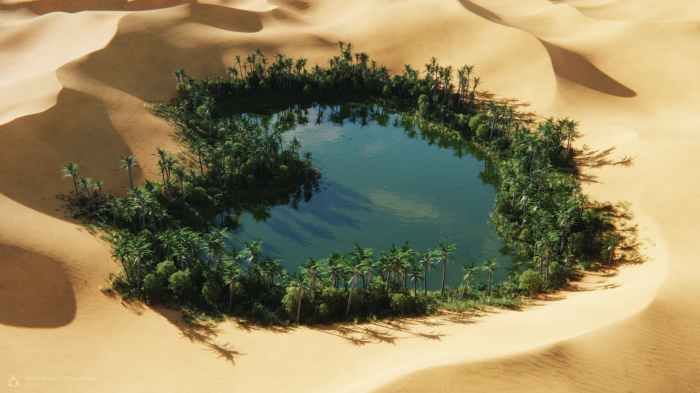 How is an Oasis Formed? - WorldAtlas