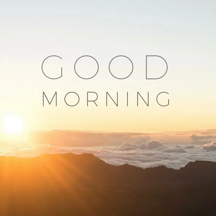 Text Message Video Photos, Download The BEST Free Text Message Video ...