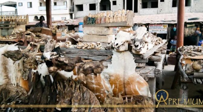 After The Congo And Nigeria Story… How Does Magic Affect Football In Africa?