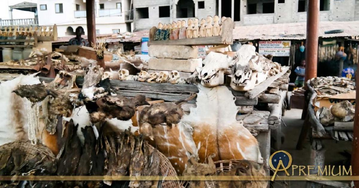 Made in Africa: The History of African Players in English Football ...