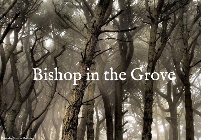 John Michael Greer Archives - Bishop in the Grove