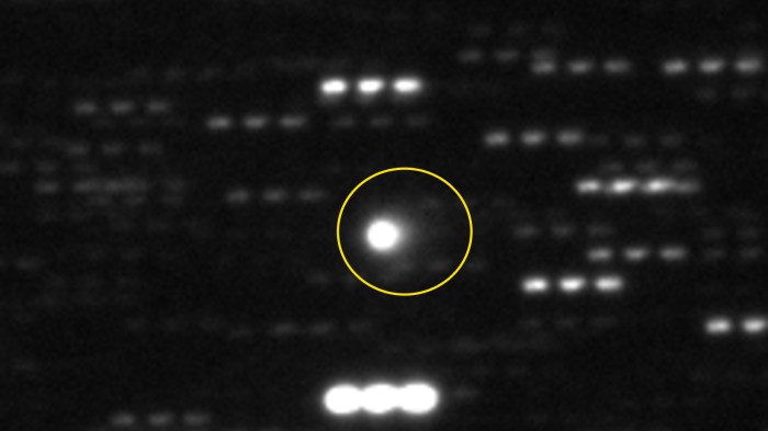 Interstellar Object 3I/ATLAS Seen in Stunning New Hubble Image ...