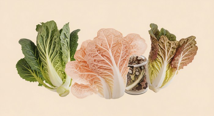 Does Microneedling Help with Blackheads? Expert Insights