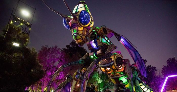 Our Top 5 Highlights from Galway International Arts Festival 2023 ...