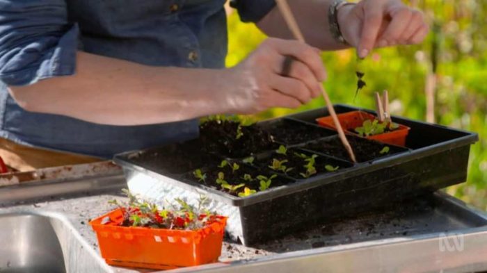 Jane Edmanson - Gardening Australia