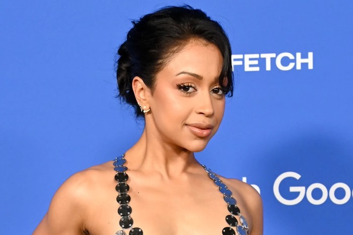 Liza Minnelli: A Legacy of Talent, Resilience, and Cultural Impact ...