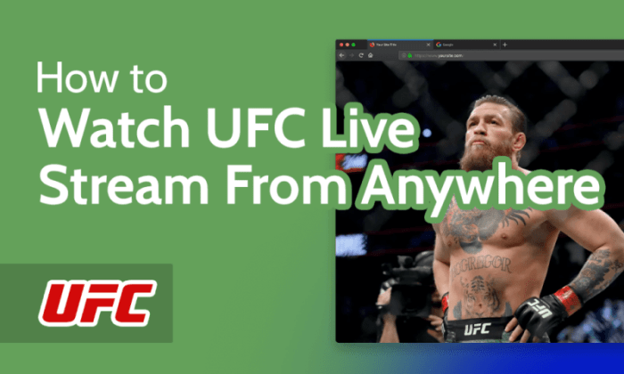 Ufc Live Stream Watch Online Deals | bellvalefarms.com