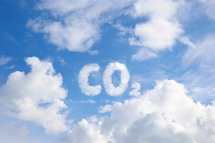 Carbon tax and impacts on importers - co2news.sk
