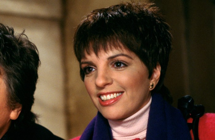 Liza Minnelli Gives Rare Update on Her Life on 78th Birthday | Closer ...