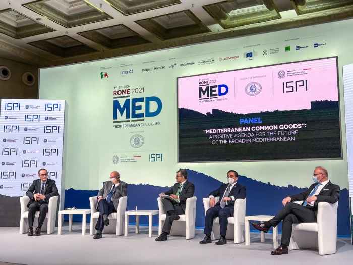 Foreign Minister Logar attends the Rome MED 2021 – Mediterranean ...