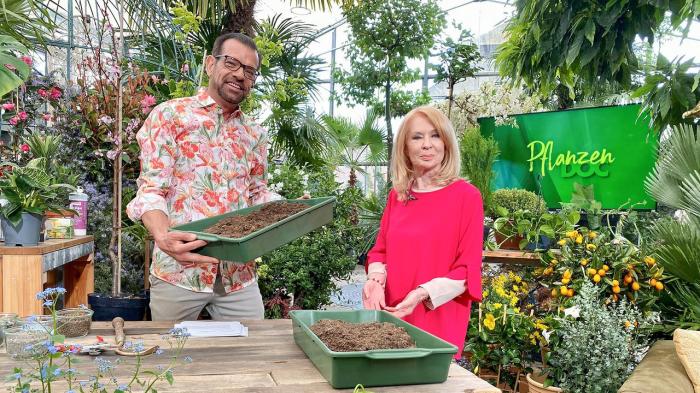 Narrisch guater Sommer (1) - ORF 2 - tv.ORF.at