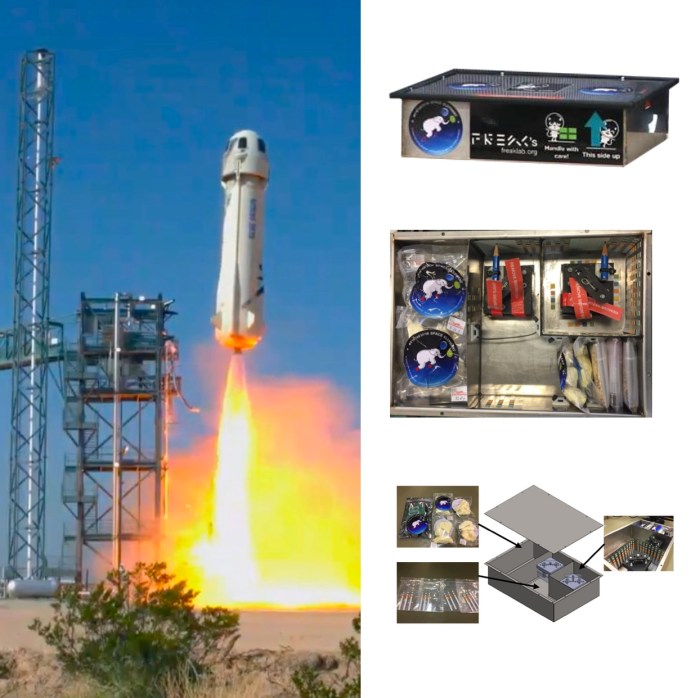 The First Thai Space Missions in Space – FREAK lab