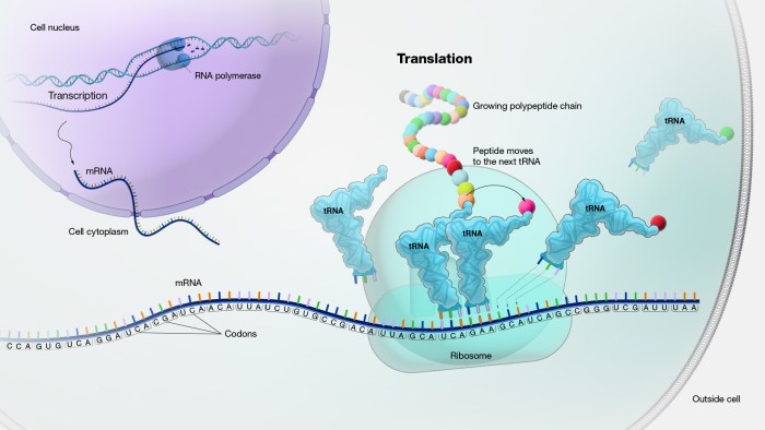 Frontiers | Myth or reality? Some directions on translation universals ...