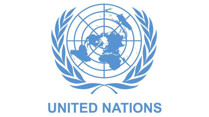 How To Get A Job At The United Nations