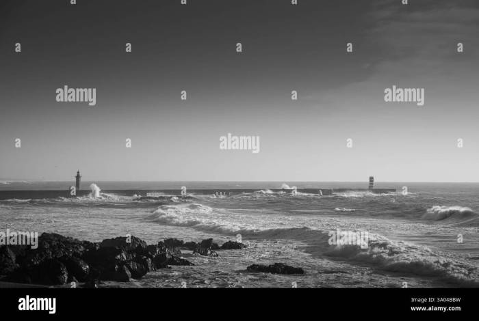 FEMALE BODYBUILDER | N . EDMONDSON | YOUNG FBB | GIRL WITH HUGE BICEPS ...