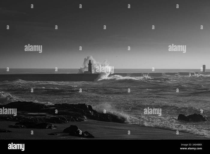 I’m Not Your Average Grandma | MY EXTRAORDINARY FAMILY - YouTube