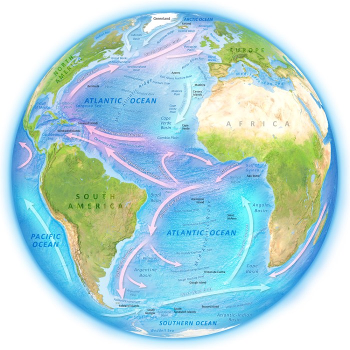 Atlantic Ocean United States Map - ocean wildlife list