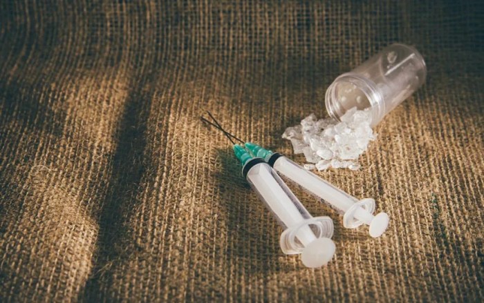 Effects of METH on the expression of three CAs. METH (40 mg/kg) caused ...