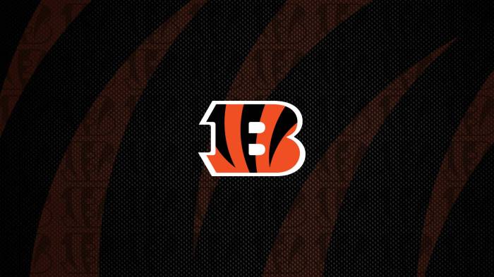 Cincinnati Bengal Logo