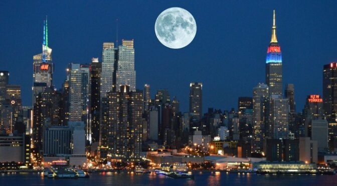 The US Halts Asylum Decisions An Overview of the Situation.