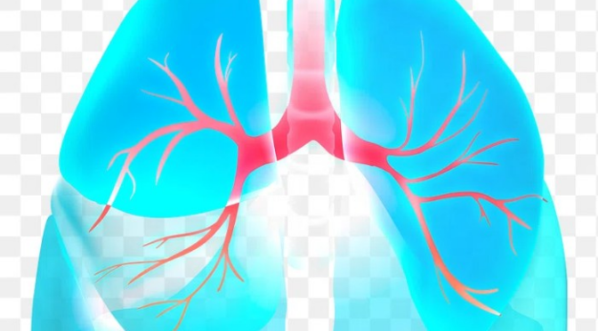 Lung Cancer Screening Begins in Trieste A New Hope for Early Detection