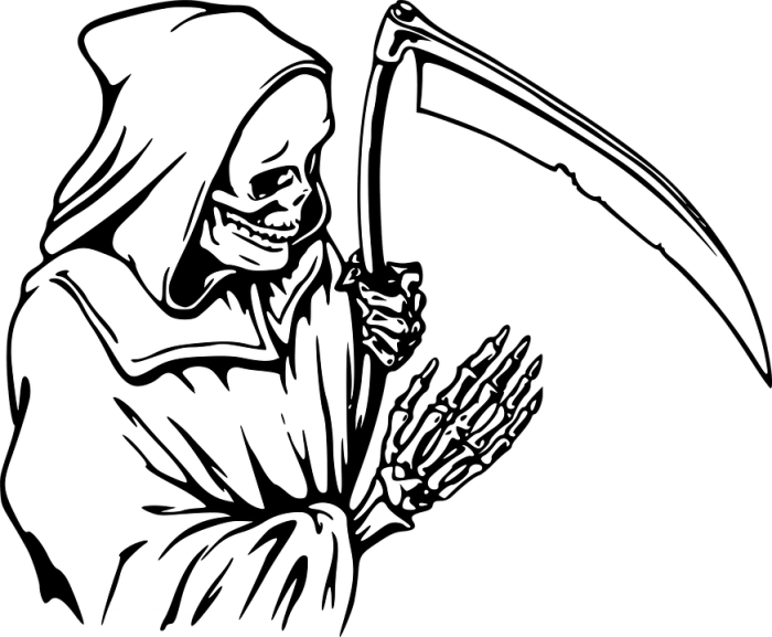 Death Throw | The living grace of this creature can only be … | Flickr