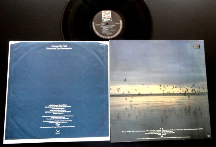 Here's Assassin's Creed Valhalla's Entire World Map | Xfire