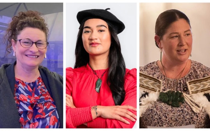 The Young Māori Party – Tōrangapū – Māori and political parties – Te ...