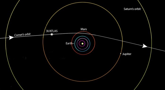 Harvard’s Avi Loeb Sparks Controversy Over Interstellar Visitor 3I ...
