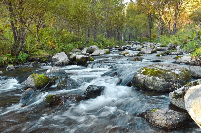 Fast Flowing River Free Stock Photo - Public Domain Pictures