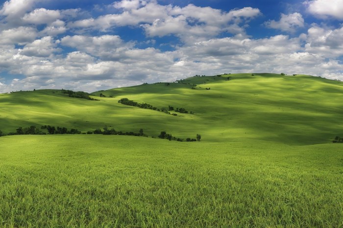 Landforms Plain