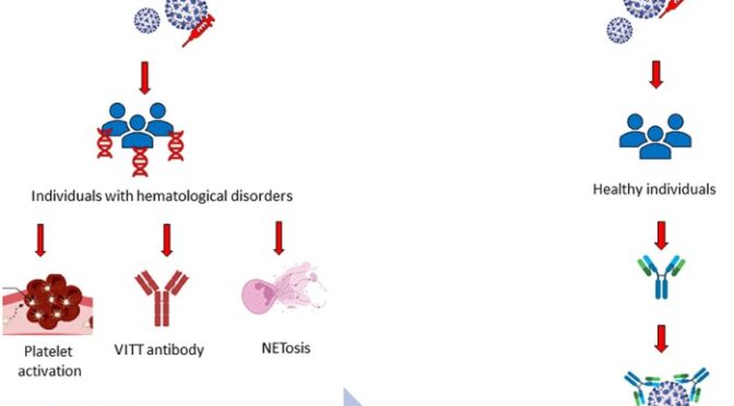 Who Vaccination Has Reduced Measles Cases Globally By 71% Over 24 Years