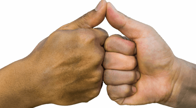 Promise Of Tension! See The Power Of The Orange Flame Chosen By The Public Of A Fazenda 17.