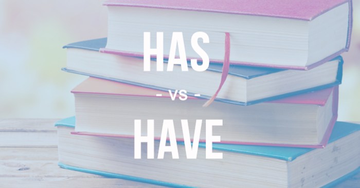 Has vs Have: Difference and Comparison