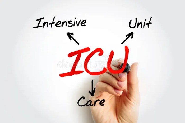 ICU Intensive Care Unit - Special Department of a Hospital or Health ...
