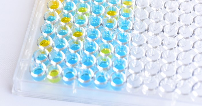 Indirect Sandwich ELISA - Protocol - OneLab