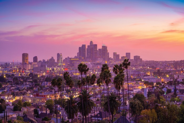 Downtown La Sunset