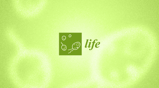 Lifes Most Important Questions Exploring Existence and Beyond.